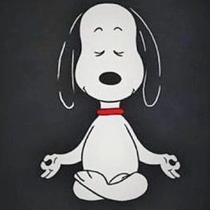 Meet your Posher, Annie